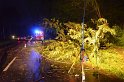 Sturm Radfahrer vom Baum erschlagen Koeln Flittard Duesseldorferstr P24